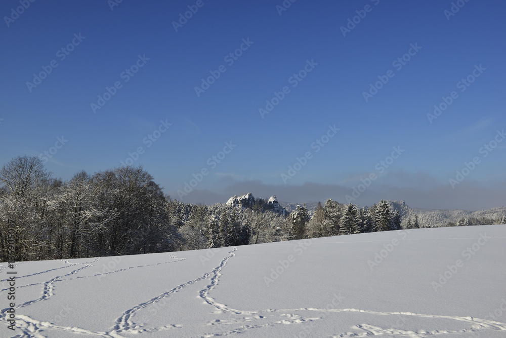 Blick zum Gamrig in der Sächsischen Schweiz Blick zum Gamrig in der Sächsischen Schweiz