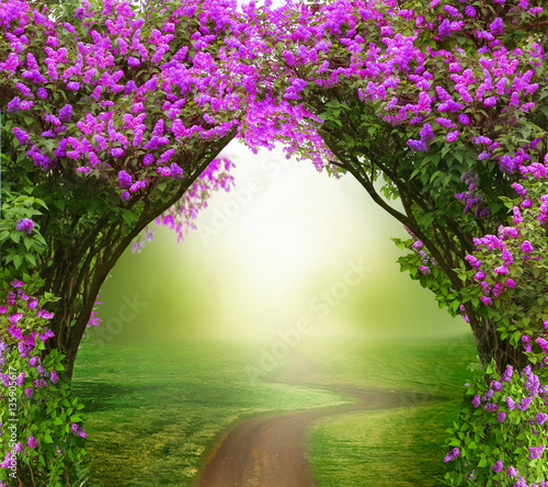 Leinwand Poster Fantasy  background . Magic forest with road.