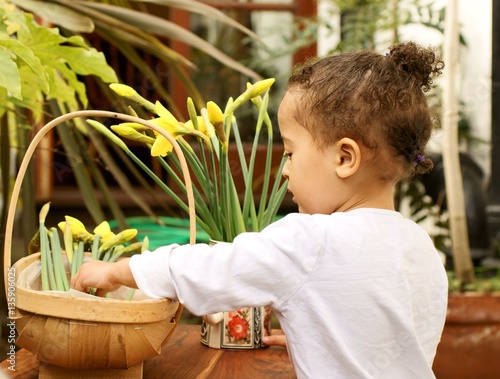 Young flower arranger sorting daffodils in the garden