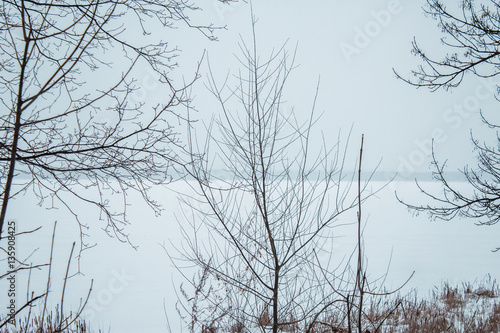 Wallpaper Mural Frozen River in the snow with a view of the coast from reeds Torontodigital.ca