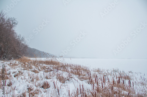 Wallpaper Mural Frozen River in the snow with a view of the coast from reeds Torontodigital.ca