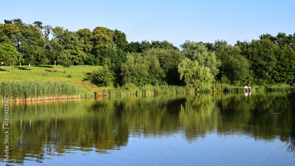 Late spring landscape reflected in the lake Late spring landscape reflected in the lake