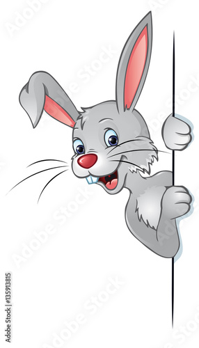 Cute Easter bunny looking around the corner