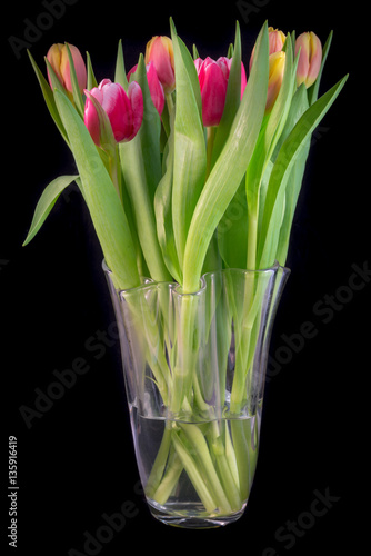 a vase of tulips