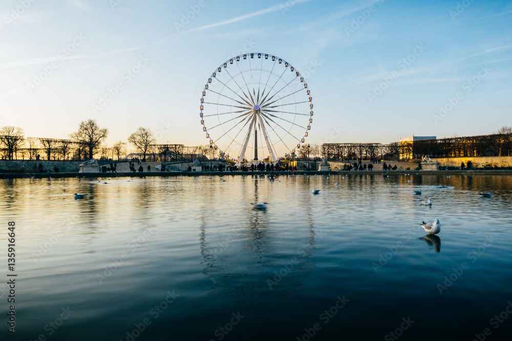 Ferris wheel reflecting on a pond in Paris, France