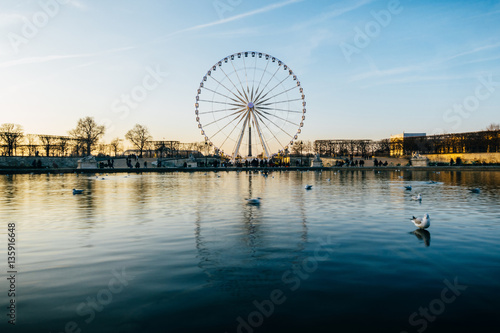 Ferris wheel reflecting on a pond in Paris, France