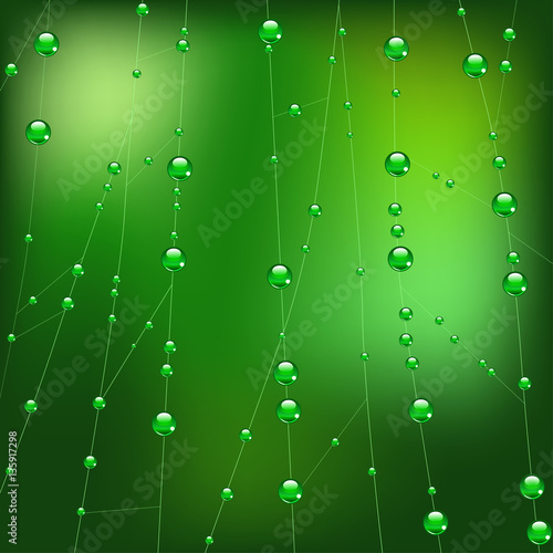 Vector lines of spider web in dew