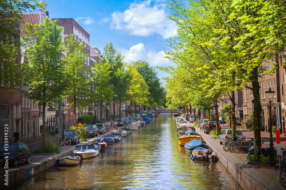 Fototapeta premium Canal in Amsterdam