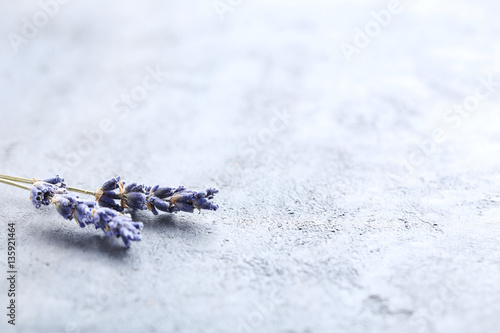 Fototapeta Naklejka Na Ścianę i Meble -  Lavender flowers on grey background