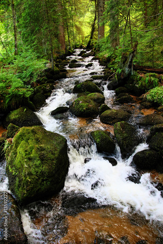 Hiking impressions in the Black Forest in Germany
