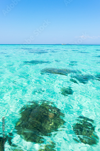 Wallpaper Mural Blue marine glow ripple water wave in sea ocean under bright sum Torontodigital.ca