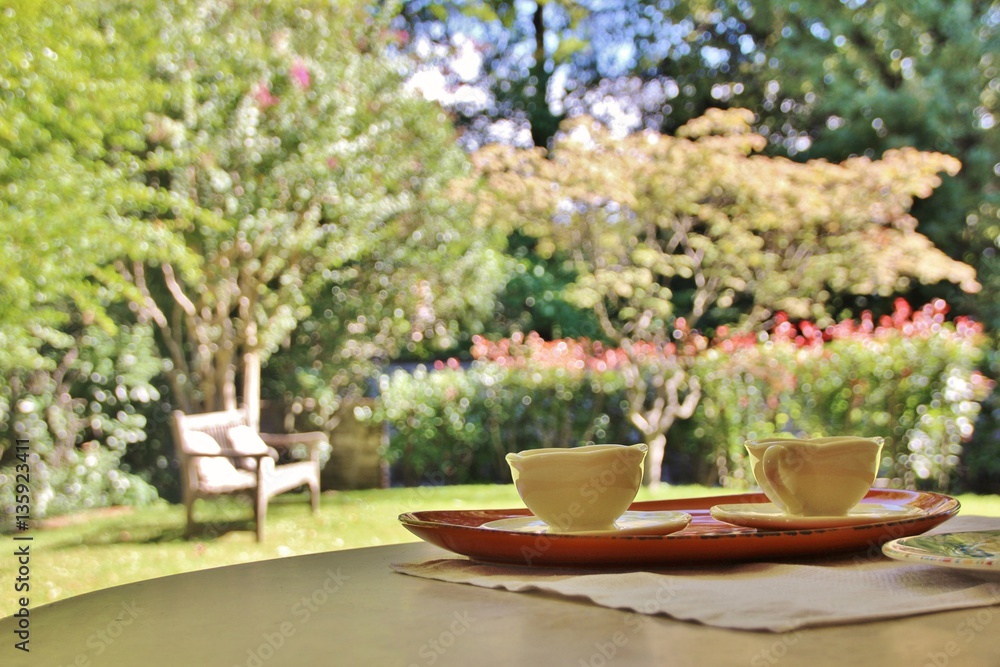 A cup of tea in the garden, Italy