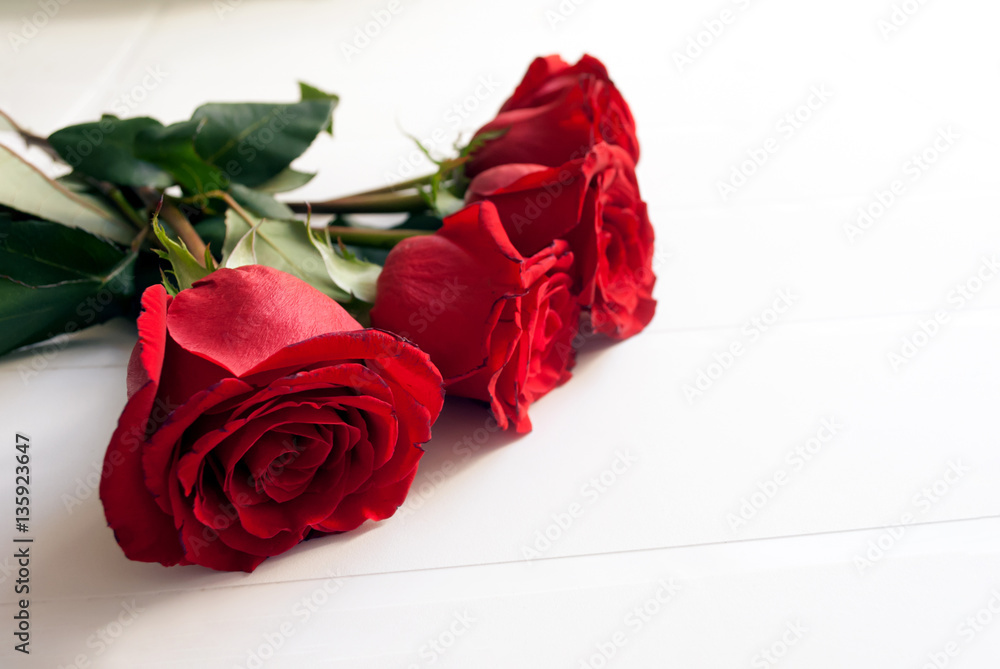 Rose rosse su sfondo bianco isolato Stock Photo | Adobe Stock