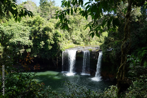 Fototapeta Naklejka Na Ścianę i Meble -  Waterfall in dense forest
