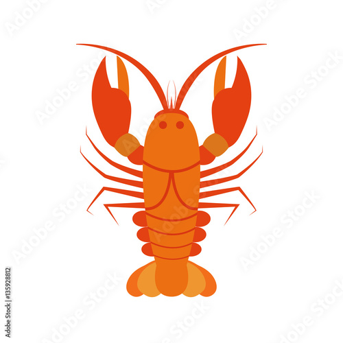 vector of crayfish