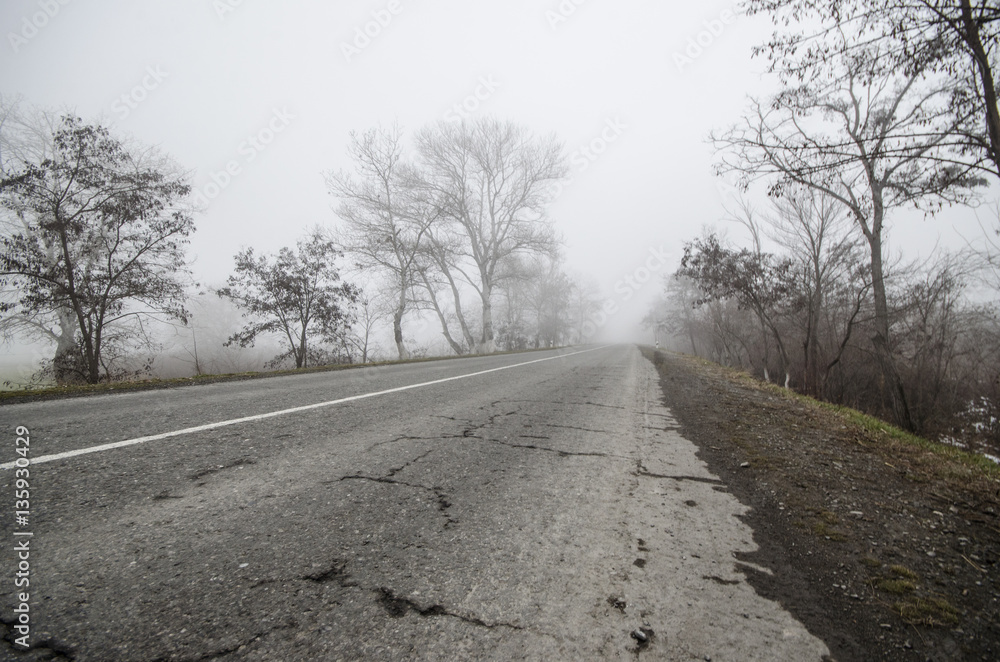 Winter landscape of trees silhouette growing near a road. And around, the surrounding fog. Road to Sheki, Azerbaijan