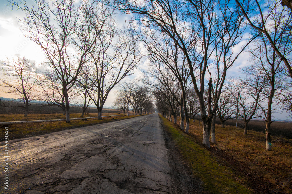 Beautiful landscape of country side road with trees in winter time at sunset. Azerbaijan, Caucasus, Sheki, Gakh, Zagatala Beautiful landscape of country side road with trees in winter time at sunset. Azerbaijan, Caucasus, Sheki, Gakh, Zagatala
