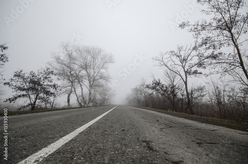 Wallpaper Mural Winter landscape of trees silhouette growing near a road. And around, the surrounding fog. Road to Sheki, Azerbaijan Torontodigital.ca
