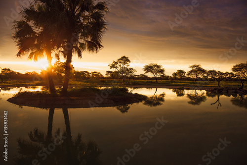 Sunset in South African Etosha park on the shore of the lake in