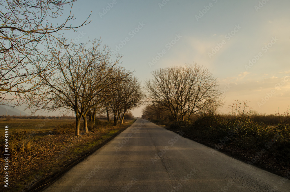 Fototapeta premium Autumn or winter landscape with road and trees. The gold light beams sunset. On a background of mountains and the sky with clouds. Azerbaijan Caucasus
