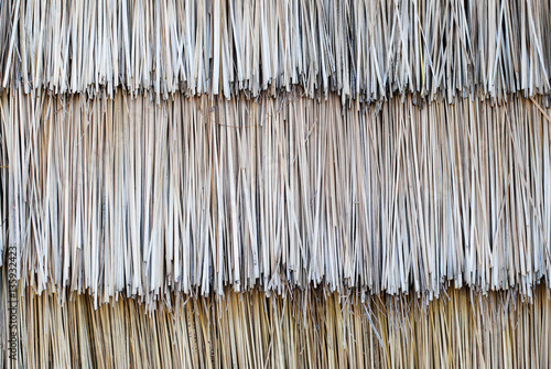 detail thatched roof on background.
