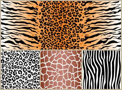 set safari jungle animal fur stripe animals bengal tiger giraffe zebra texture pattern seamless repeating white black orange brown