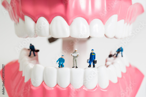 miniature people to clean tooth model