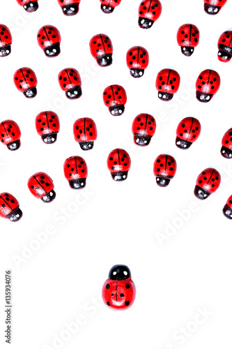 leadership concept - wooden ladybugs