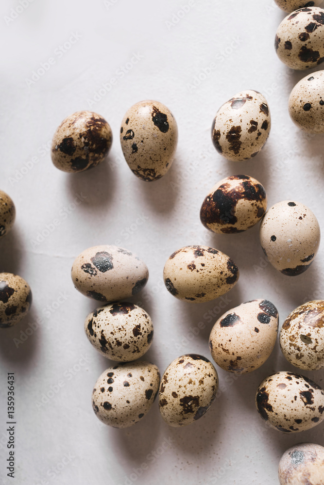 Quail eggs on a light background. Eggs. Easter photo concept. Copyspace Quail eggs on a light background. Eggs. Easter photo concept. Copyspace