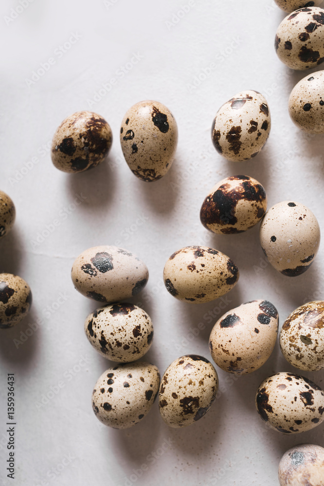 Quail eggs on a light background.  Eggs.  Easter photo concept. Copyspace