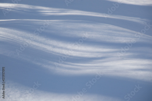 Abstract wavy blue tree shadows on the snow