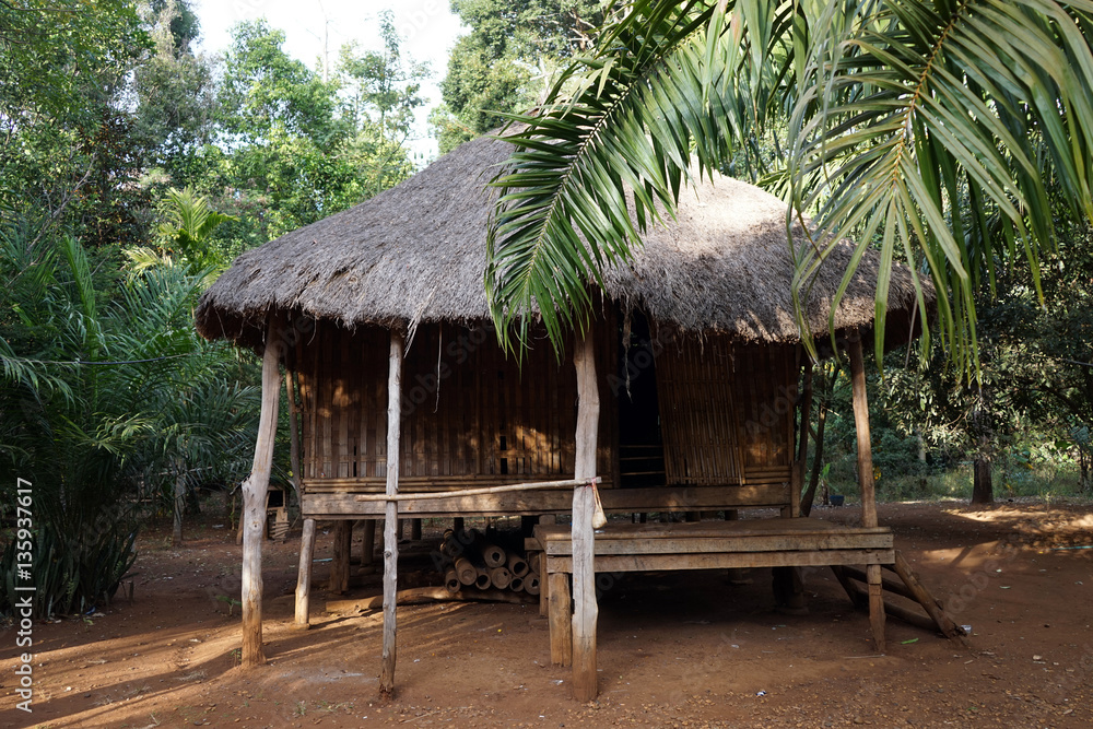 Traditional lao style house