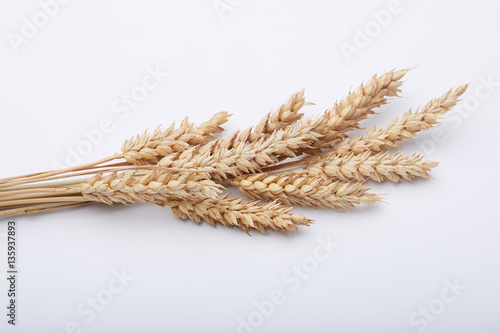 cereal plant on the white