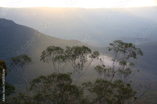 Blue Mountains