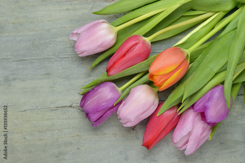 Wooden grey empty copy space background with fresh bunch of colourful spring tulips. Orange, red,pink and purple tulips.