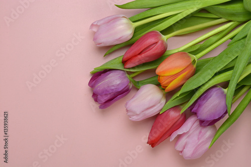 Fototapeta Naklejka Na Ścianę i Meble -  Wooden pink empty copy space background with fresh colourful spring tulips. Orange, red,pink and purple tulips.