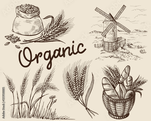 Set of fresh bread in Basket and ear sack mill in graphic style