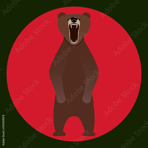 Image bear standing on its hind legs.
