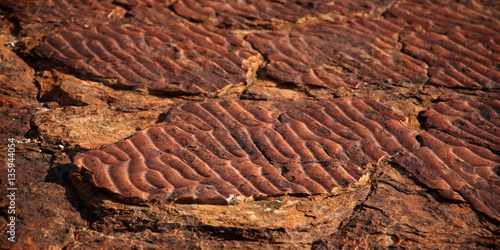 Petrified Sand Dunes, Kings Canyon, Australia
