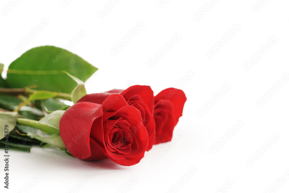 three red roses on white background with copy space, isolated photo three red roses on white background with copy space, isolated photo