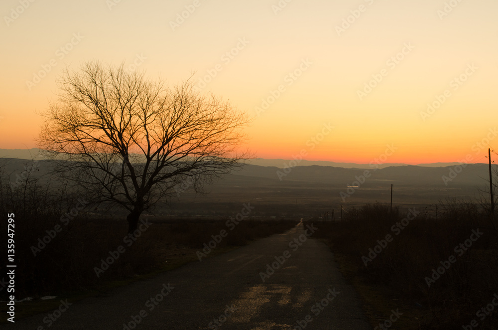 Autumn or winter landscape with road and trees. The gold light beams sunset. On a background of mountains and the sky with clouds. Azerbaijan Caucasus Autumn or winter landscape with road and trees. The gold light beams sunset. On a background of mountains and the sky with clouds. Azerbaijan Caucasus