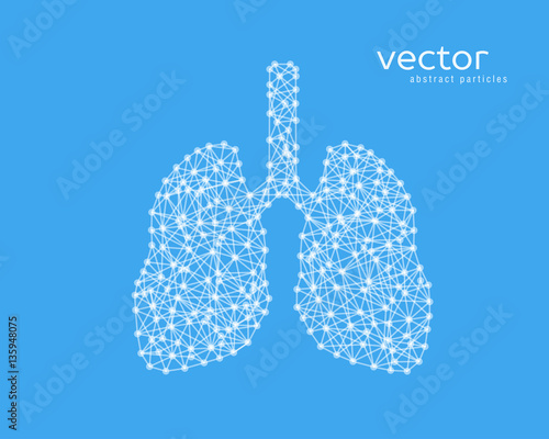 Abstract vector illustration of human lungs.