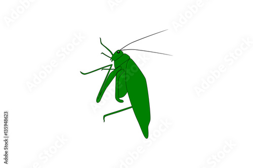 Grasshopper. Cartoon drawing of a grasshopper, vector illustration