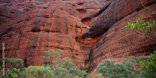 Kata Tjuta on the rain
