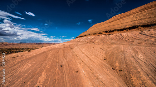 Obraz na plátně Iggy