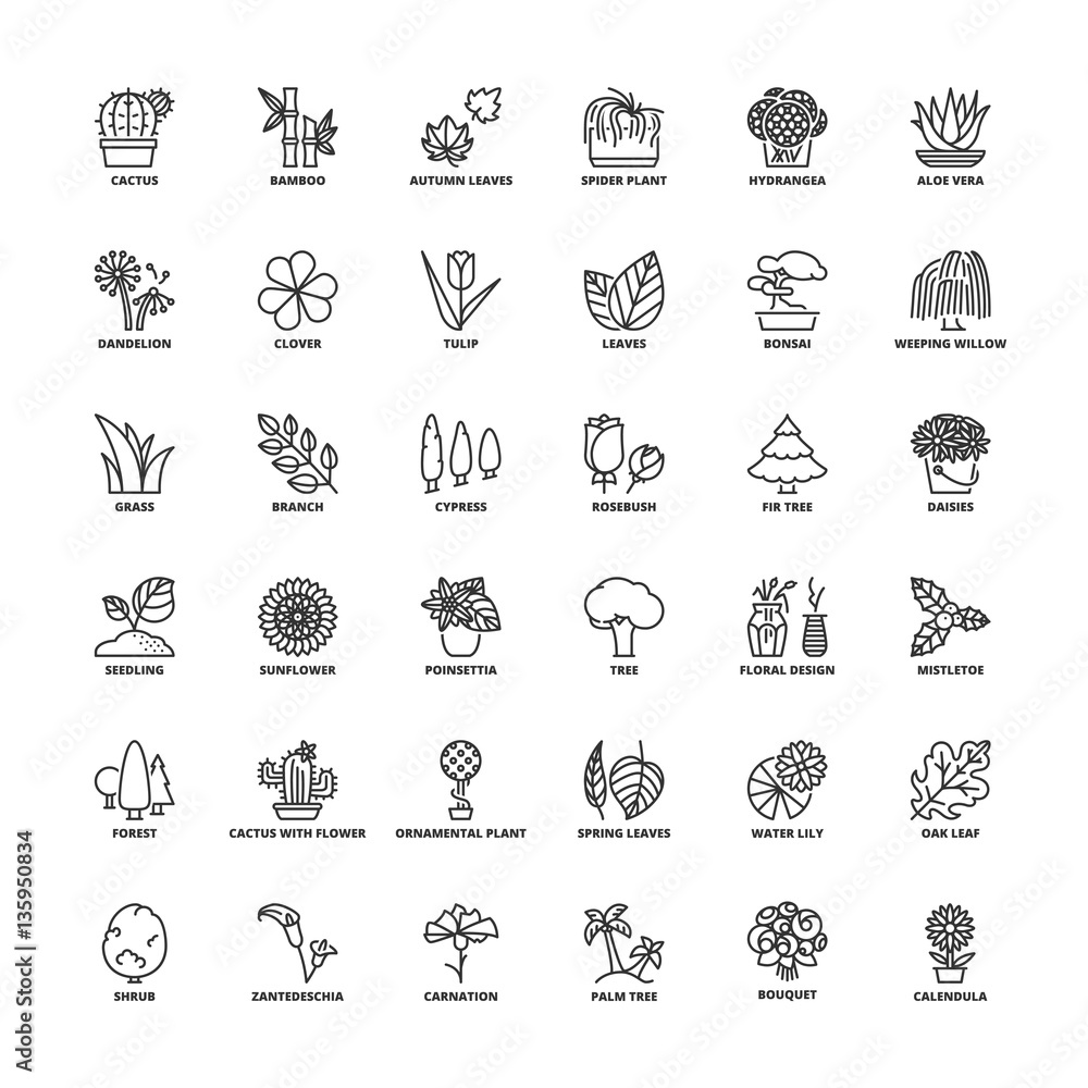 Outline icons. Flowers, plants and trees