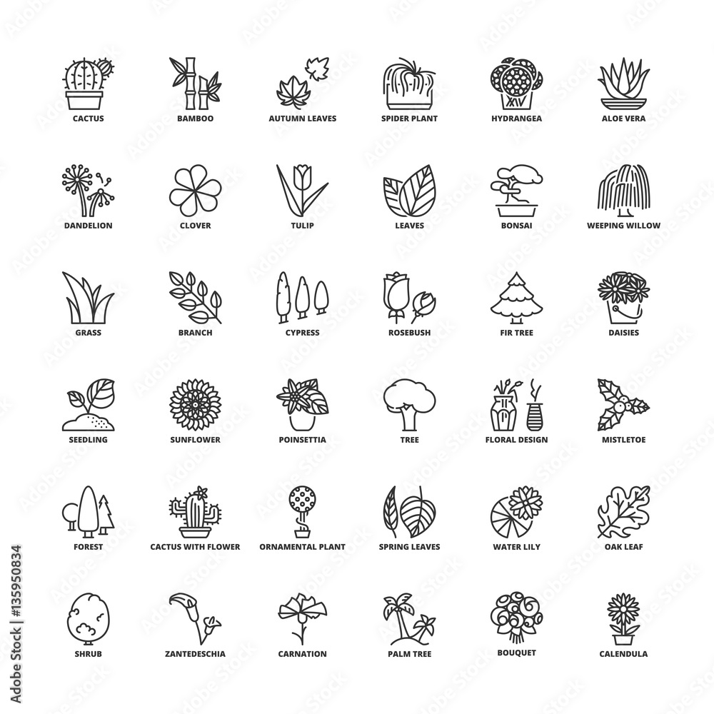 Outline icons. Flowers, plants and trees Outline icons. Flowers, plants and trees