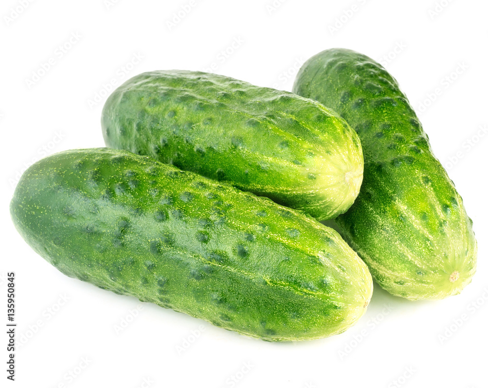 Fresh cucumbers on white background Fresh cucumbers on white background