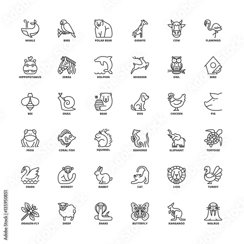 Outline icons. Animals