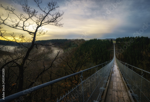 Brücke über dem Wald